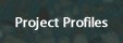 Project Profiles